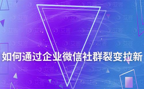 如何打造高復(fù)購率的私域社群